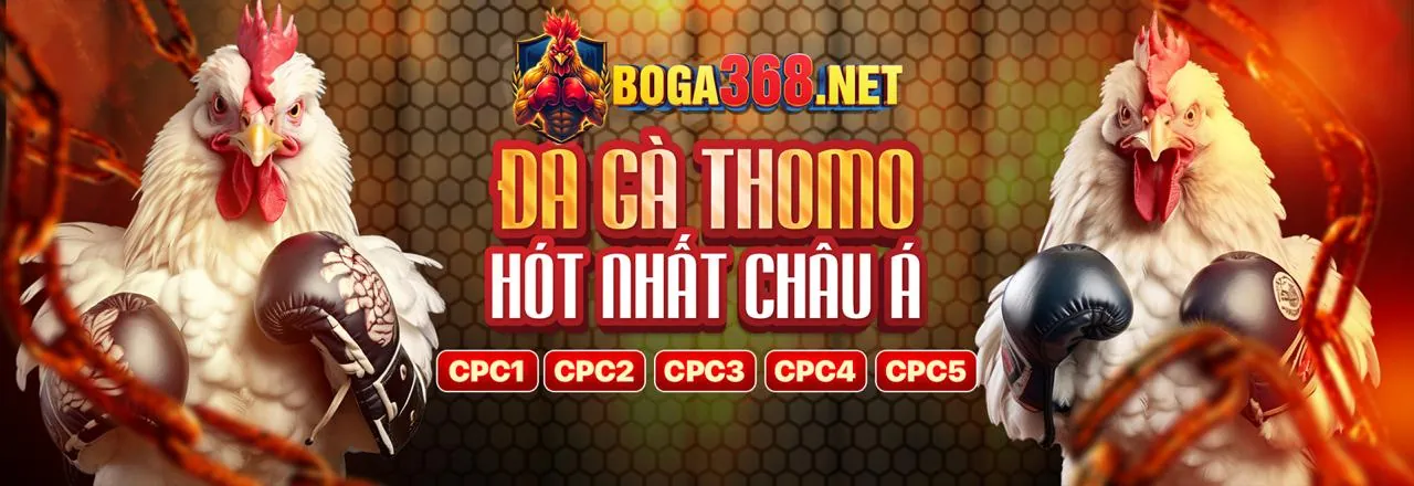 Hình ảnh minh họa chiến lược Paroli (Martingale Đảo Ngược)